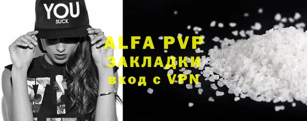 прущие грибы Нефтекумск