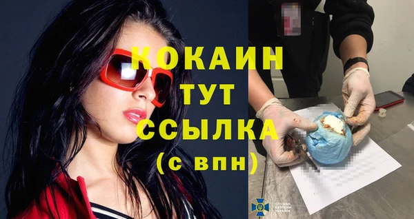 прущие грибы Нефтекумск
