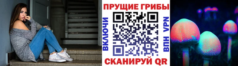 что такое наркотик  Тырныауз  OMG ССЫЛКА  Галлюциногенные грибы GOLDEN TEACHER 